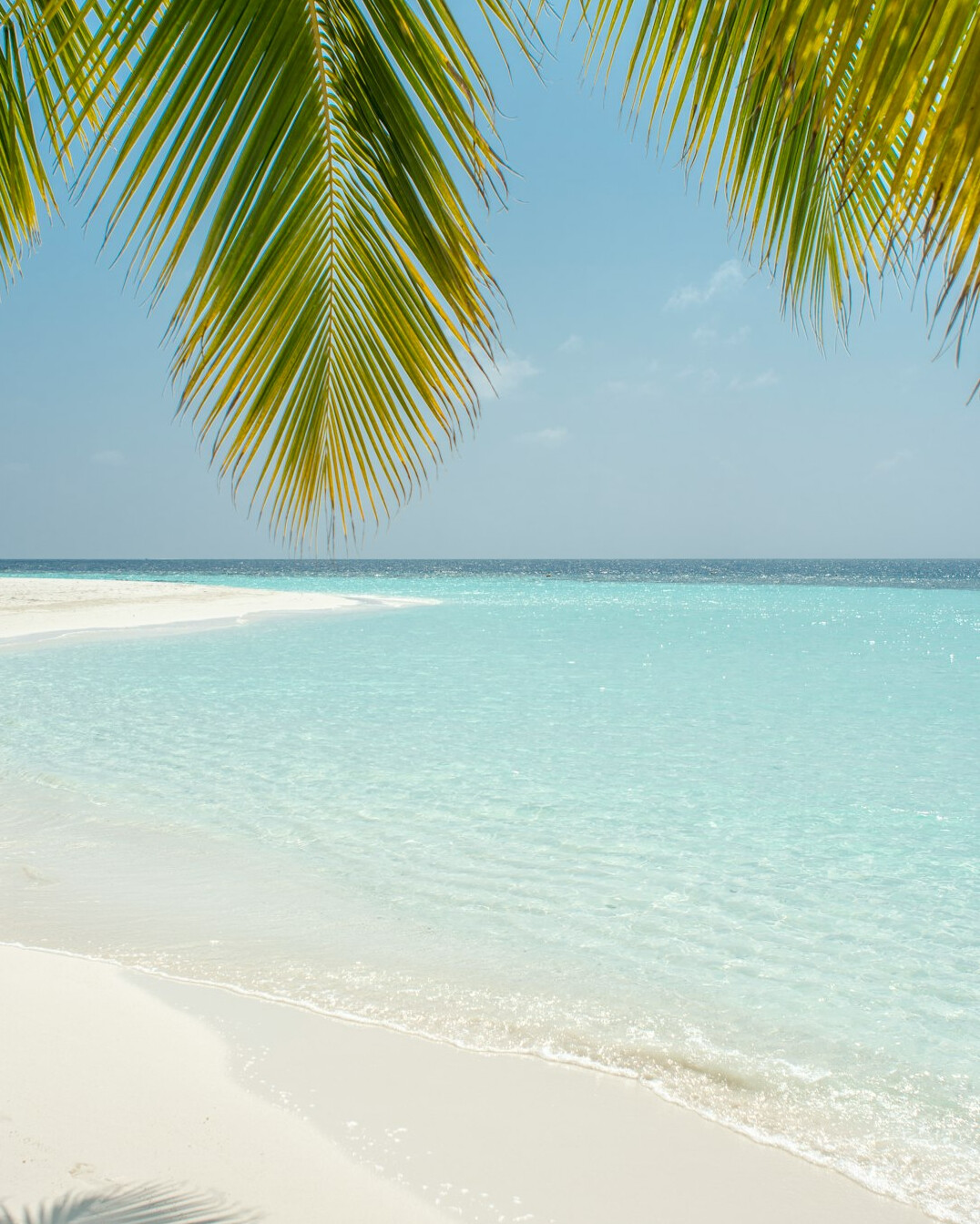 Tropical beach with turquoise water and white sand at sunny day