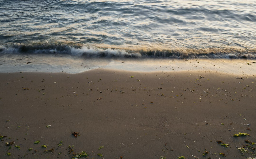 Sandy beach with gentle waves at golden hour
