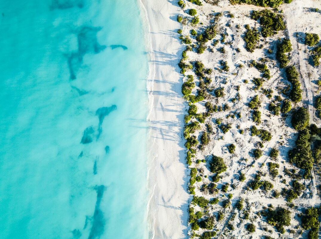 caribbean beach turquoise water
